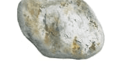 Ambergris