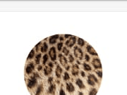 Animalic Notes
