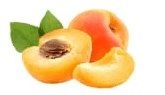 Apricot