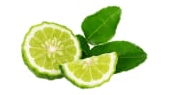 Bergamot