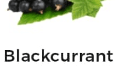 Blackcurrant