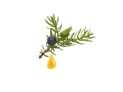 Cade Oil