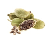 Cardamom