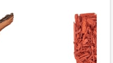 Cedarwood