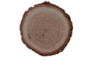 Gaiac Wood