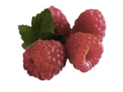 Raspberry