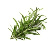 Rosemary