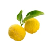 Yuzu